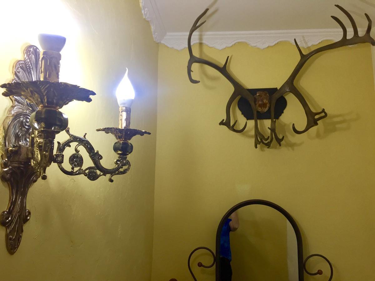 Alma Cinema Hostel Koktobe Extérieur photo