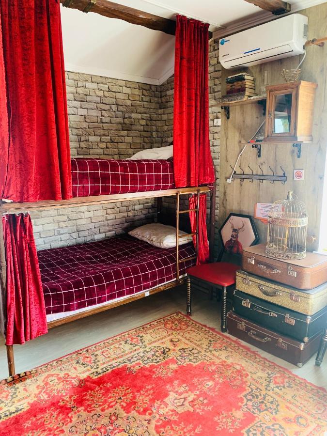 Alma Cinema Hostel Koktobe Extérieur photo